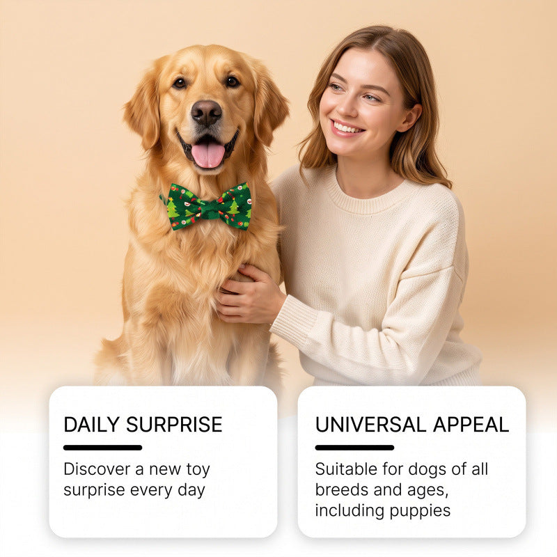 Advent calendar for dogs