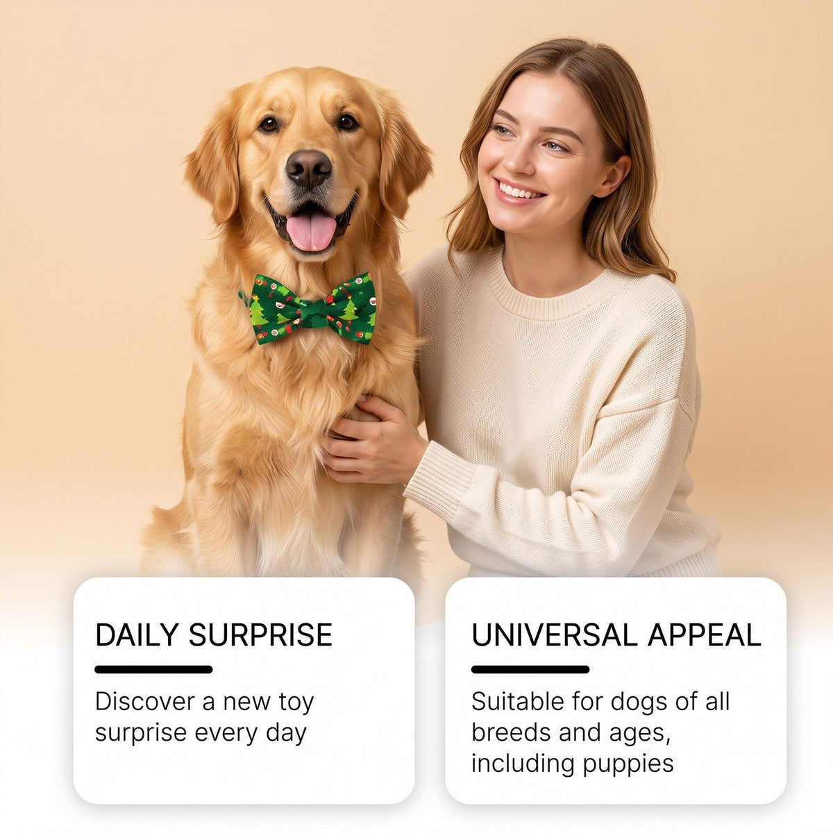 Advent calendar for dogs