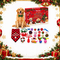 Advent calendar for dogs