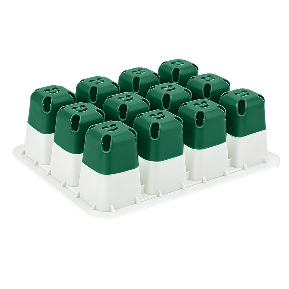 Seedling Starter Tray –12-Cell Indoor Germination Box with Transparent Cover and Adjustable Humidity for Greenhouse Seeds, Vegetables and Healthy Plant Growth